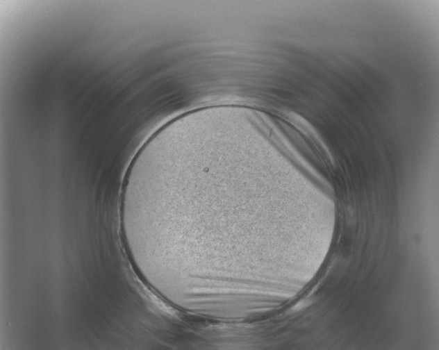 X0000066961244200604142107