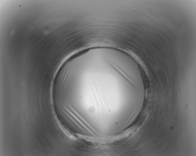 X0000066961246200604142107