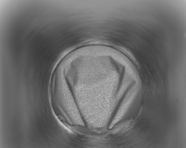 X0000066961247200604142107