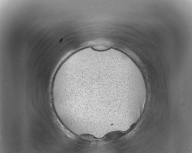 X0000066961248200604142107