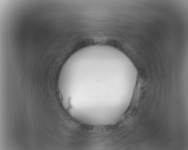 X0000066961249200604142106