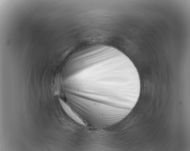 X0000066961250200604142106