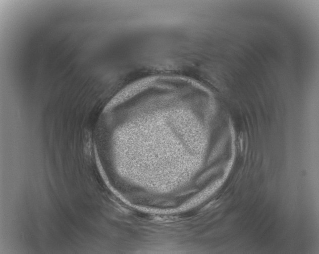 X0000066961251200604142106