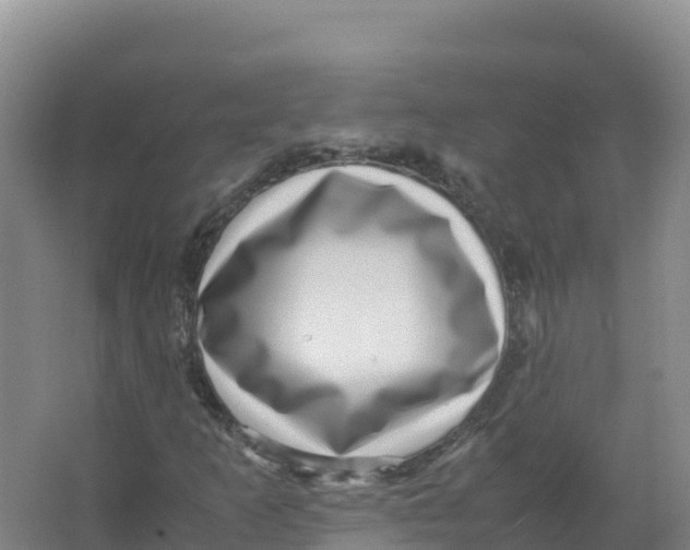 X0000066961253200604142106