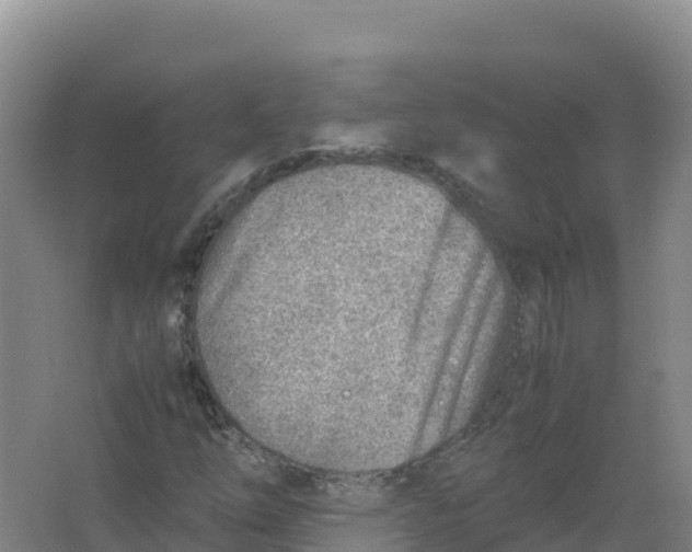 X0000066961254200604142106