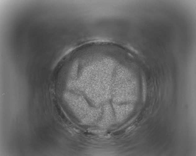 X0000066961255200604142106