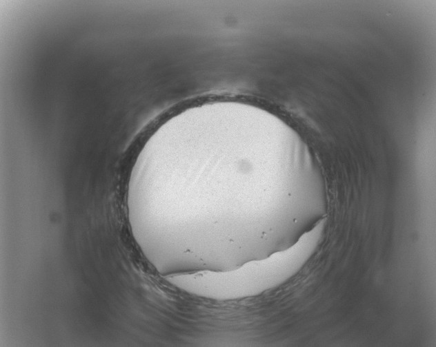 X0000066961256200604142106