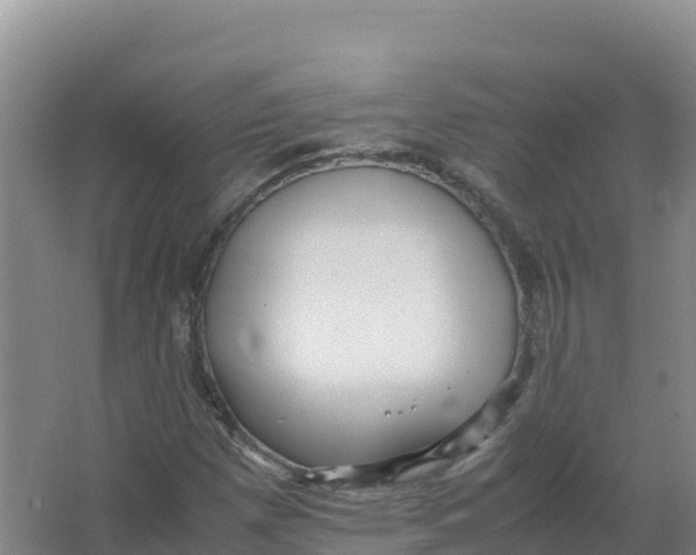 X0000066961257200604142106