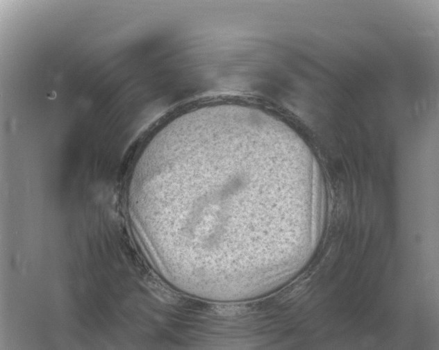 X0000066961258200604142106