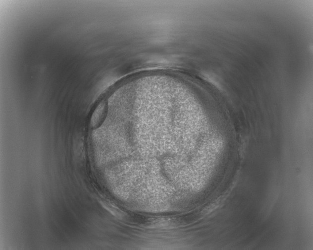 X0000066961259200604142106