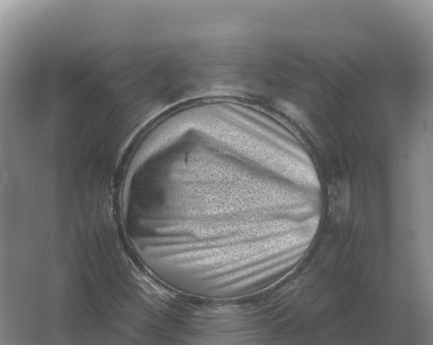 X0000066961260200604142106