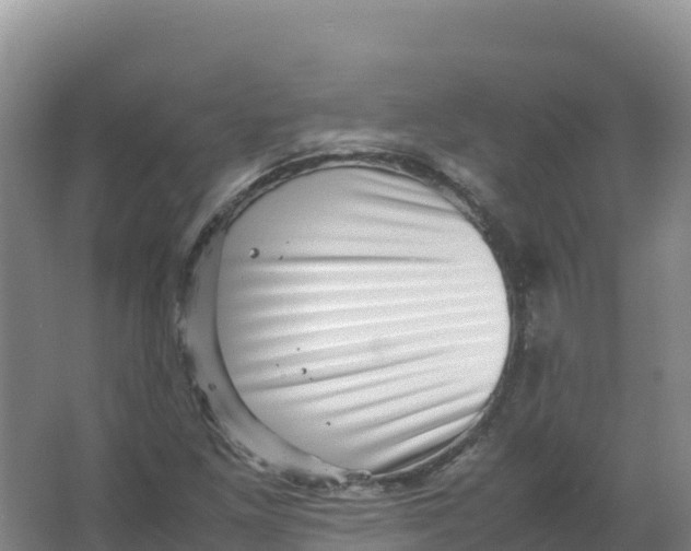 X0000066961261200604142106