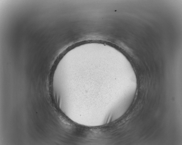 X0000066961264200604142106