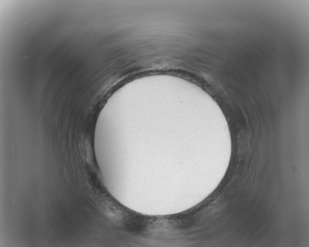 X0000066961265200604142106