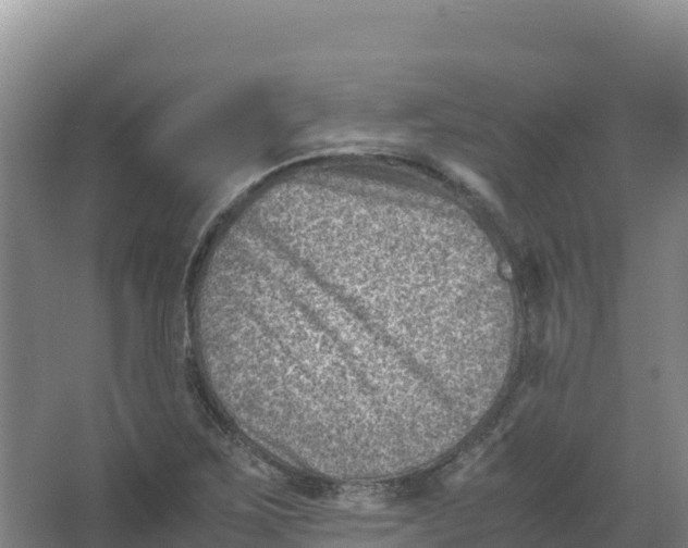 X0000066961267200604142106