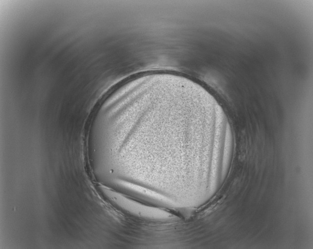 X0000066961268200604142106