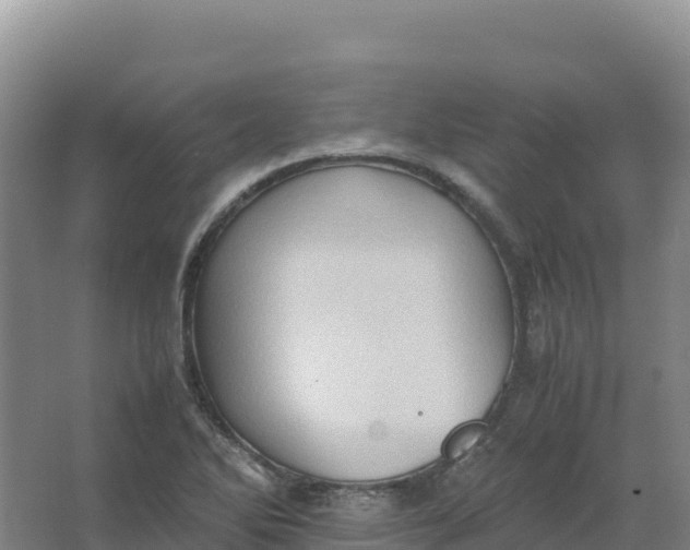 X0000066961270200604142106