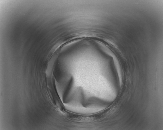 X0000066961273200604142106