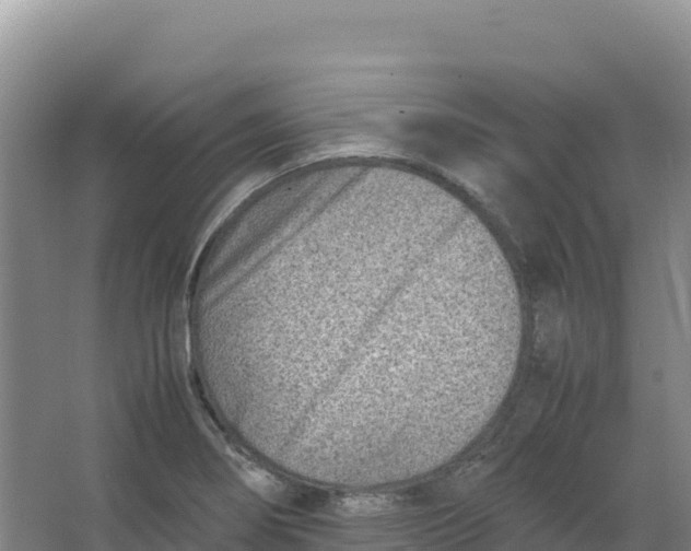 X0000066961274200604142106