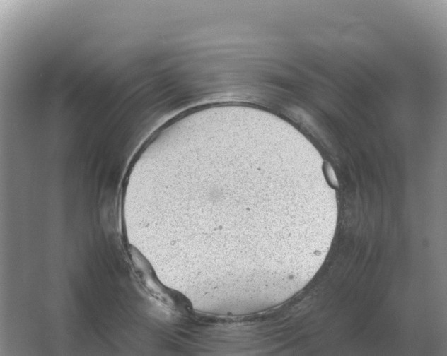 X0000066961276200604142106