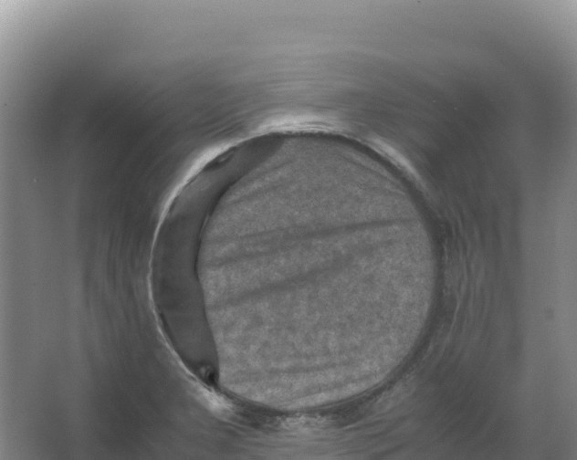 X0000066961277200604142106