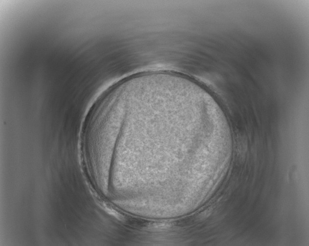 X0000066961278200604142106