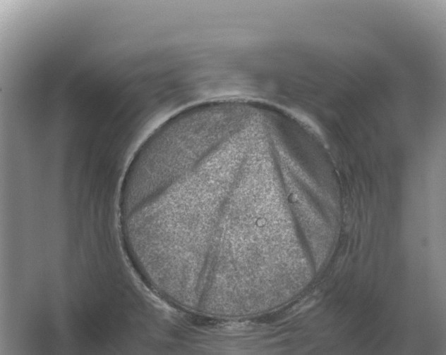 X0000066961279200604142106