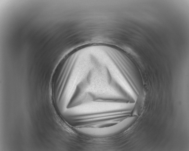 X0000066961280200604142106