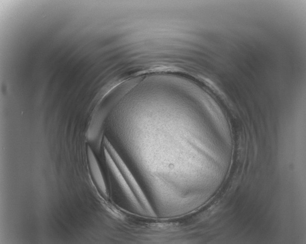 X0000066961281200604142106