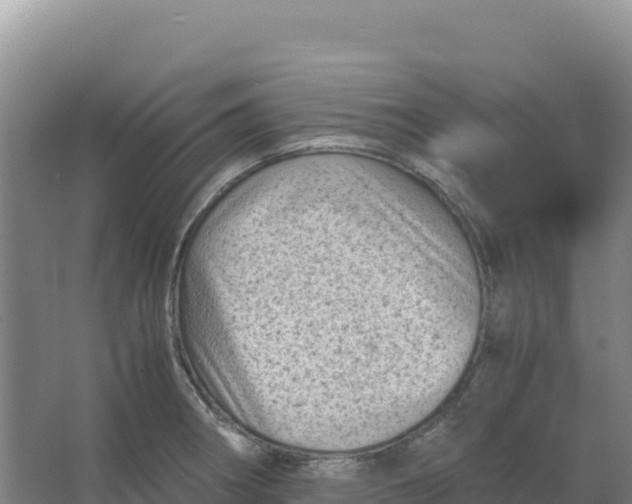 X0000066961282200604142105