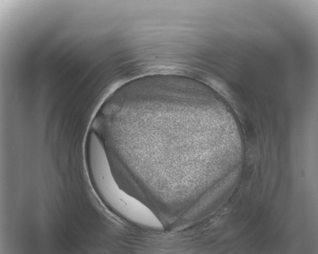 X0000066961283200604142105