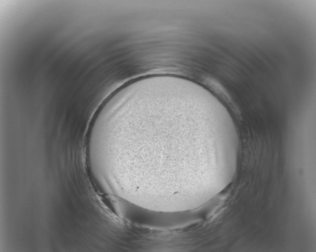 X0000066961284200604142105