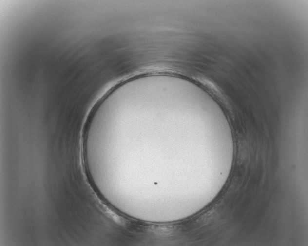 X0000066961286200604142105