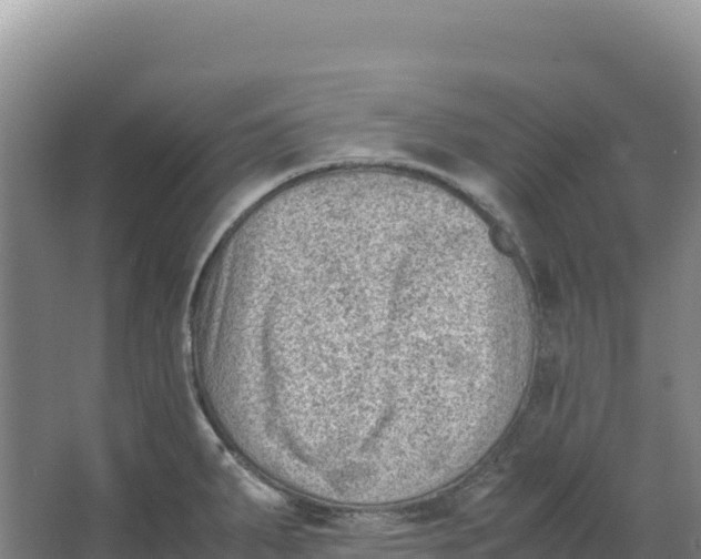 X0000066961287200604142105