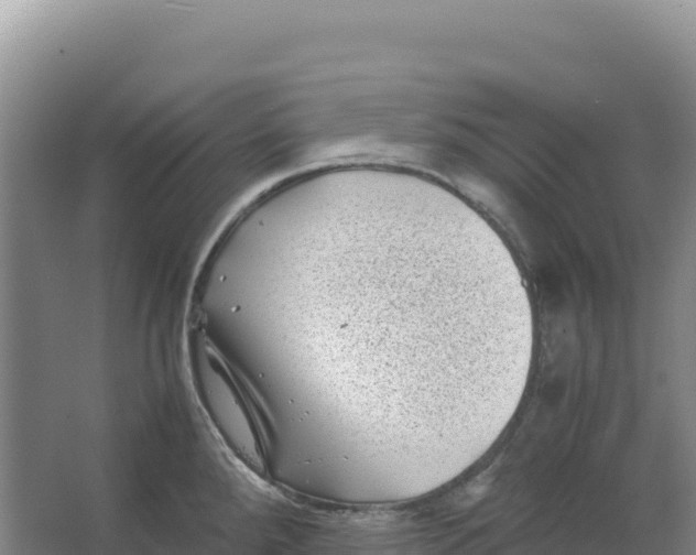 X0000066961288200604142105