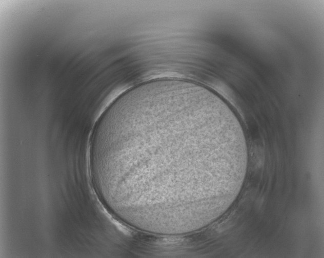 X0000066961290200604142105