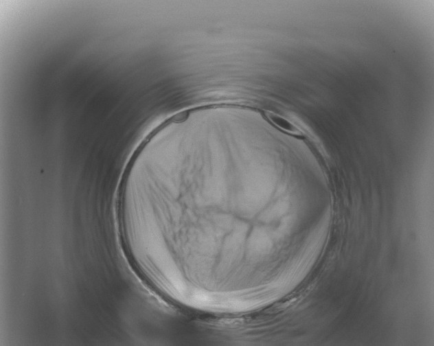 X0000066961291200604142105