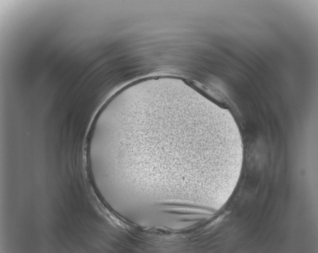 X0000066961292200604142105