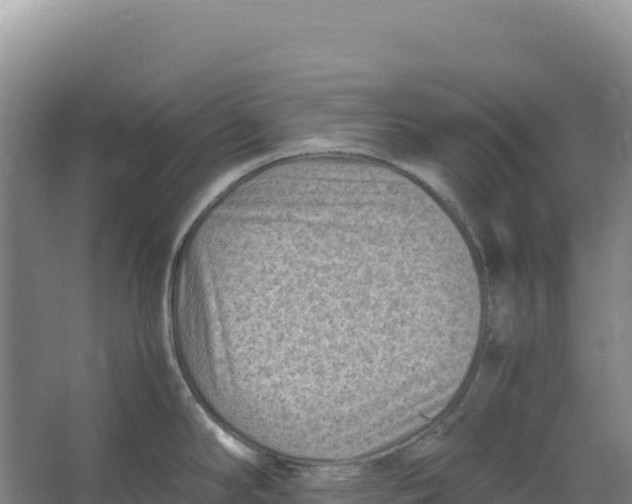 X0000066961294200604142105