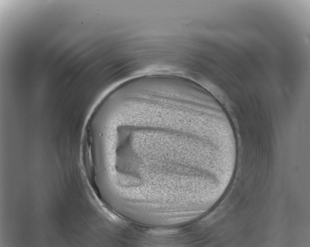 X0000066961296200604142105