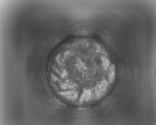 X0000066961297200604142104