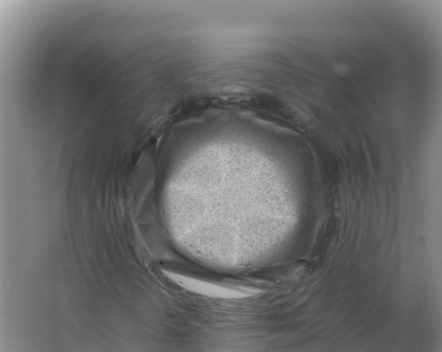 X0000066961298200604142104