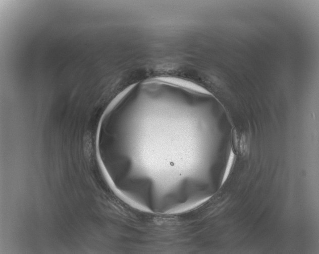 X0000066961299200604142104