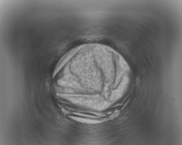 X0000066961300200604142105