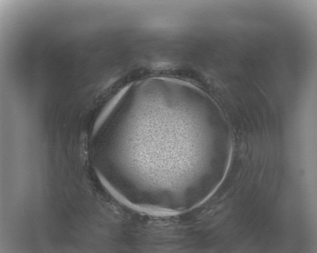 X0000066961301200604142105