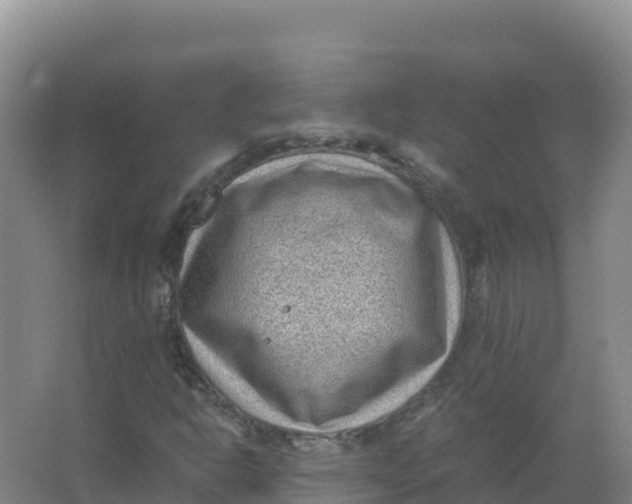 X0000066961302200604142105