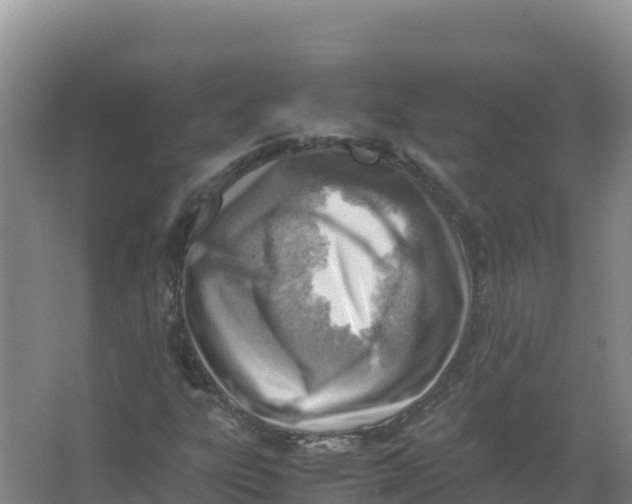 X0000066961303200604142105