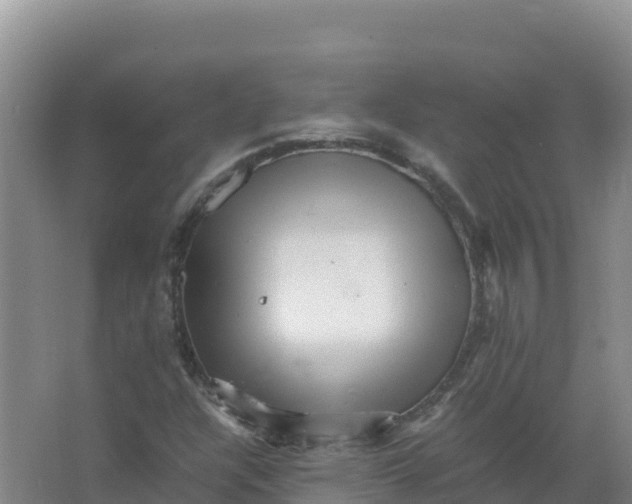 X0000066961304200604142105