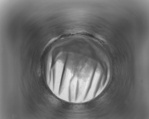 X0000066961306200604142105