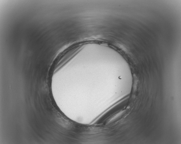 X0000066961308200604142105